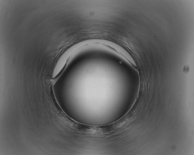 X0000090600317200707311206