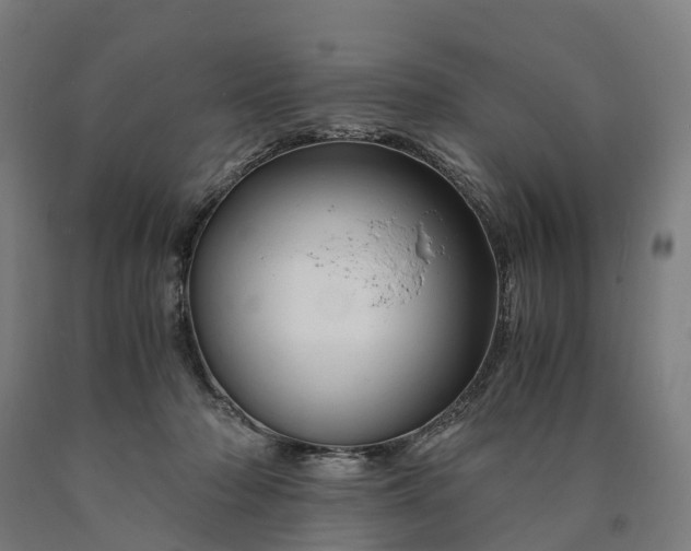 X0000090600318200707311206