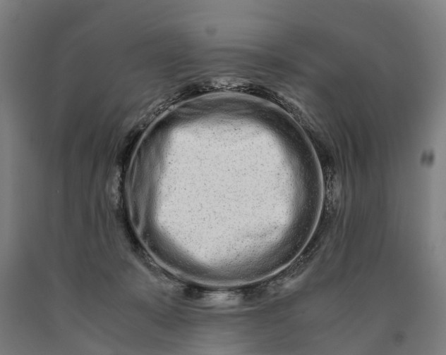 X0000090600319200707311206