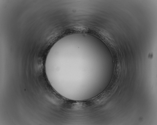 X0000090600320200707311206