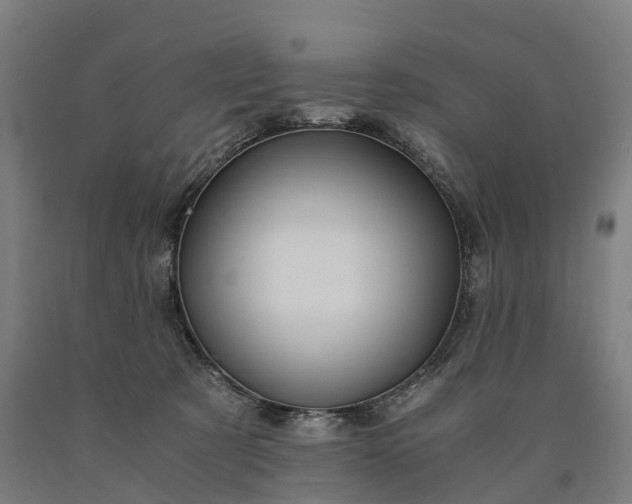 X0000090600321200707311206