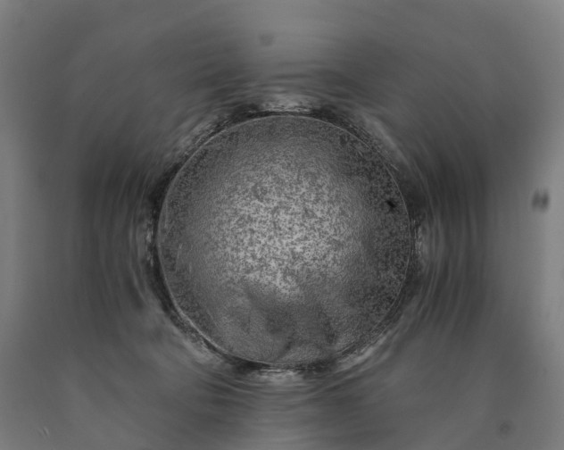 X0000090600322200707311206