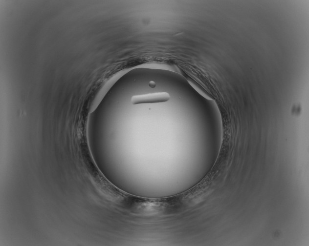 X0000090600323200707311206