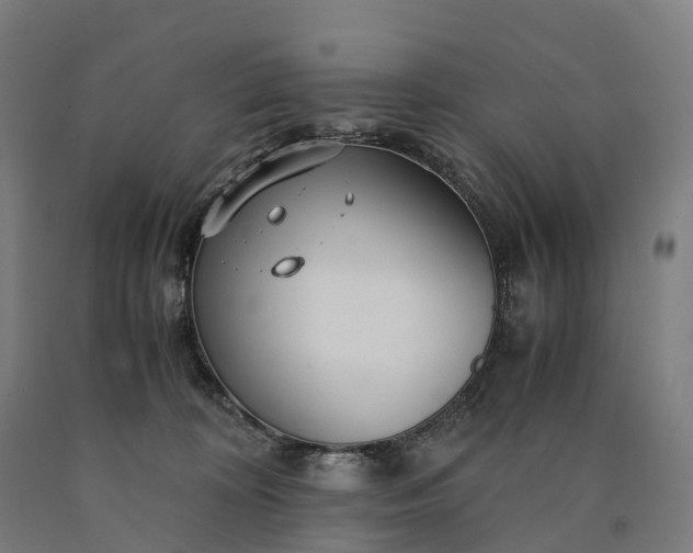 X0000090600324200707311206