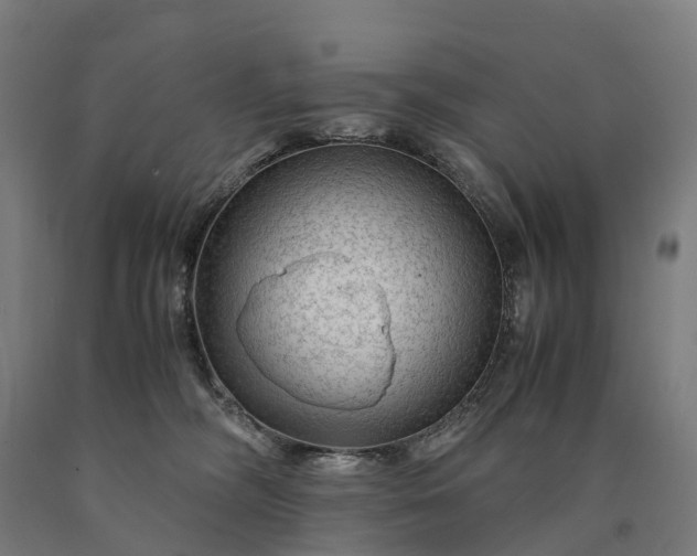 X0000090600326200707311206