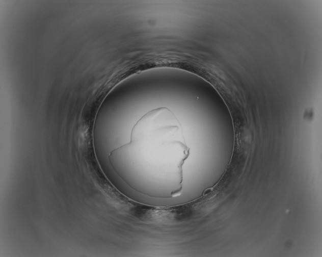 X0000090600327200707311206