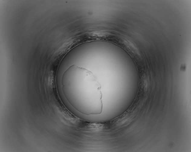 X0000090600328200707311206