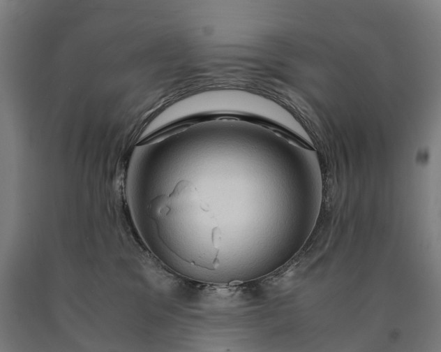 X0000090600329200707311206