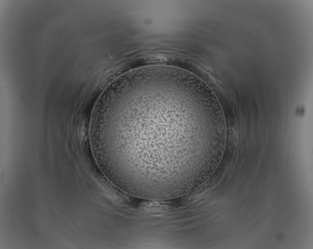 X0000090600331200707311206