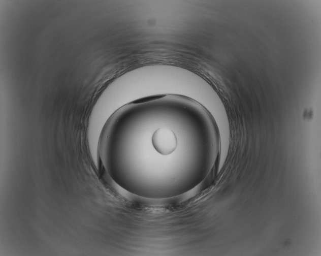 X0000090600333200707311206