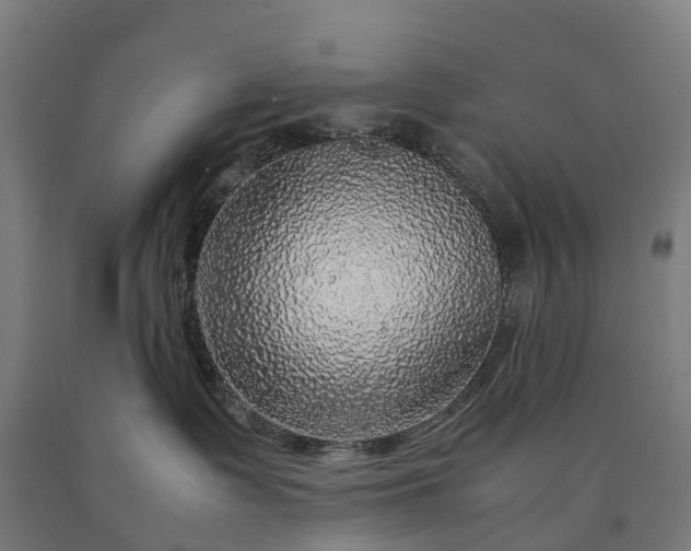 X0000090600335200707311206