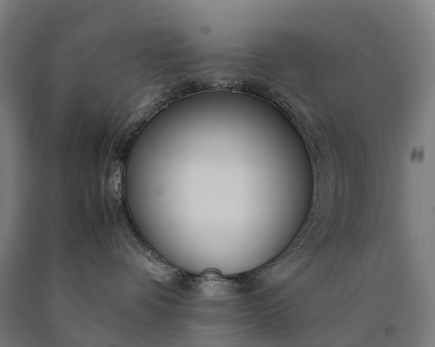 X0000090600336200707311206