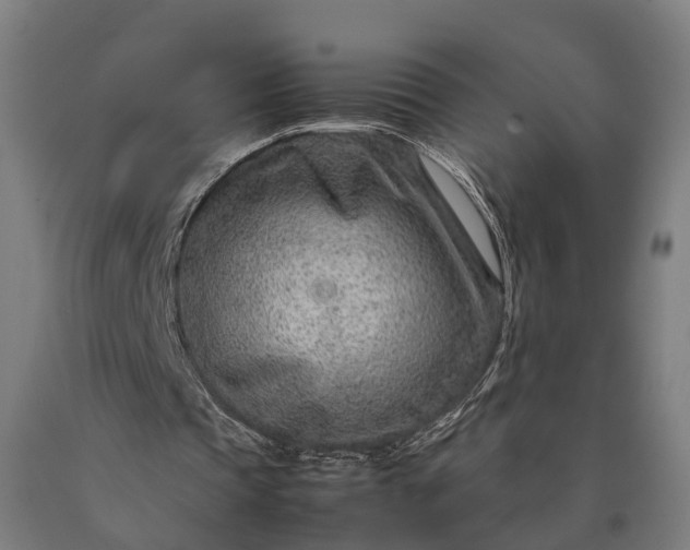 X0000090600337200707311206