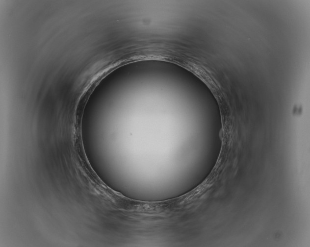 X0000090600338200707311206