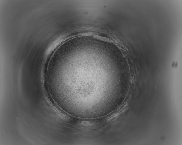 X0000090600341200707311206