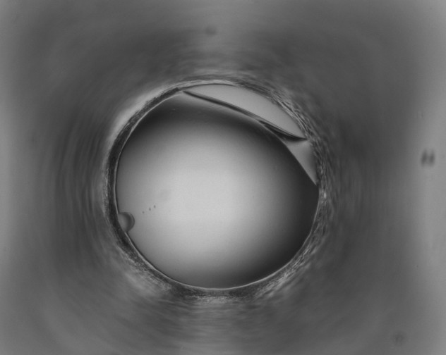 X0000090600342200707311206