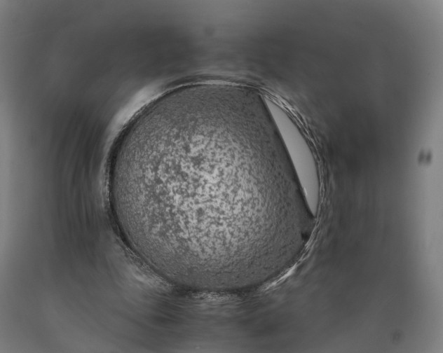 X0000090600343200707311206