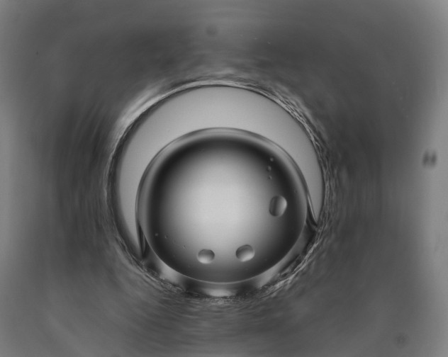 X0000090600344200707311206