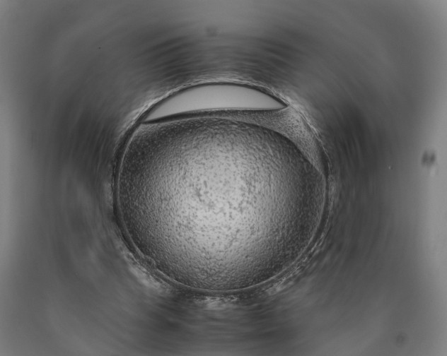 X0000090600345200707311206