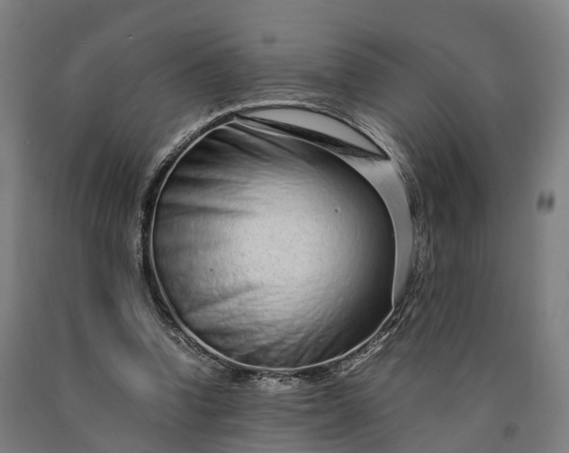 X0000090600346200707311206