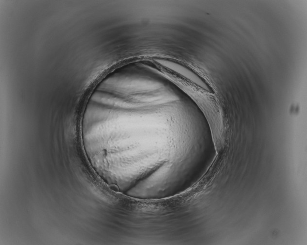 X0000090600347200707311206