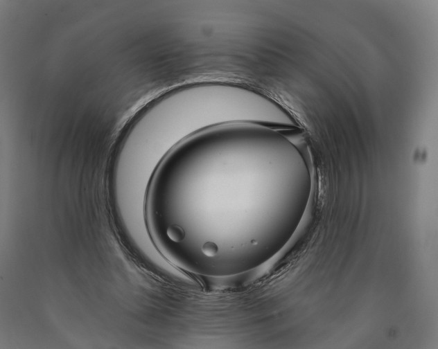 X0000090600348200707311206