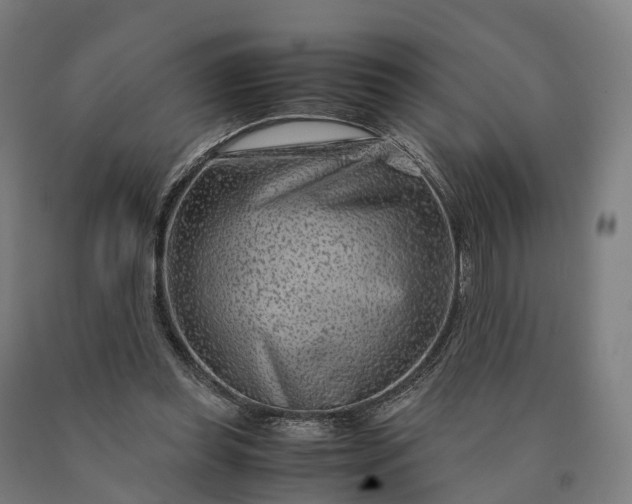 X0000090600349200707311206