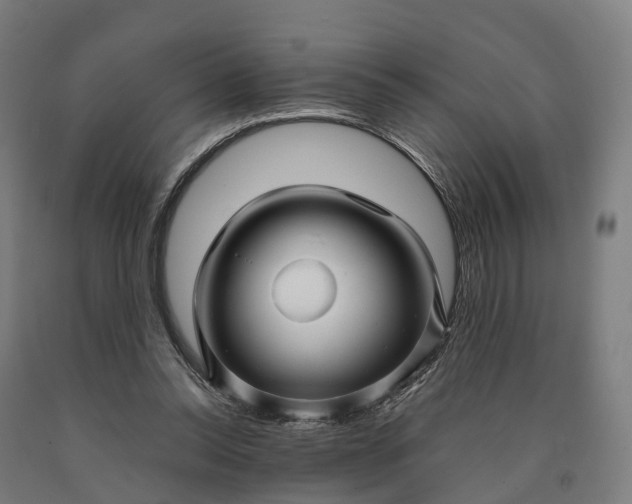 X0000090600350200707311206