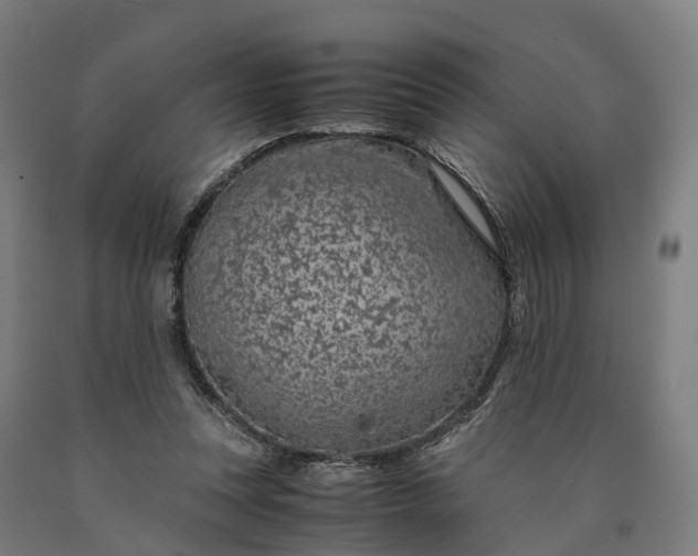 X0000090600351200707311206