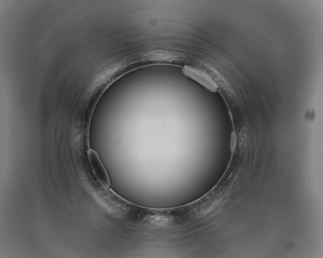 X0000090600352200707311206