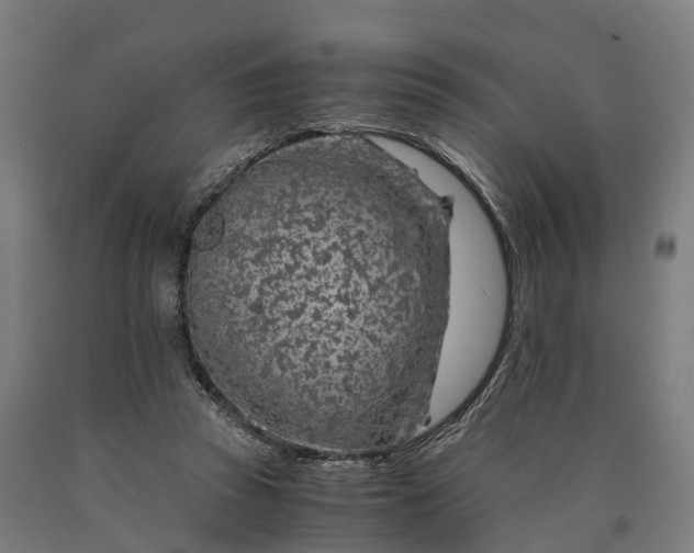 X0000090600353200707311206