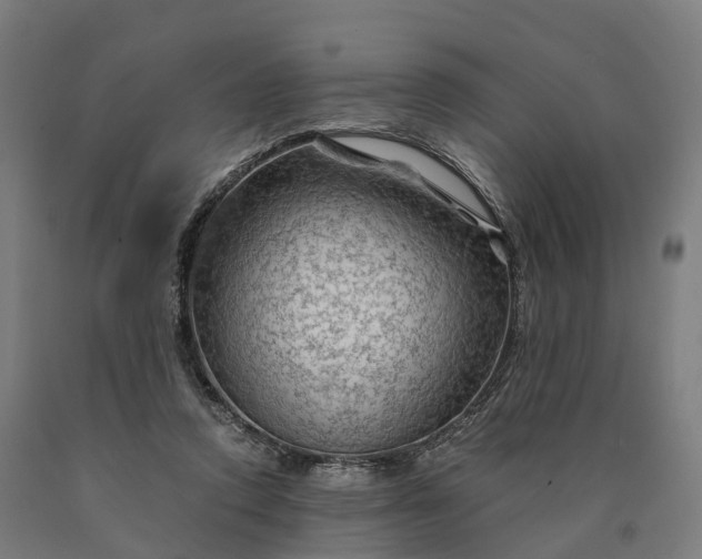 X0000090600354200707311206