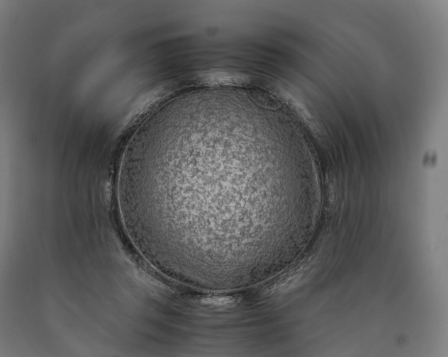 X0000090600357200707311206