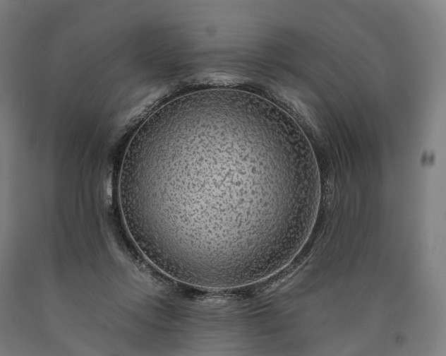 X0000090600358200707311206