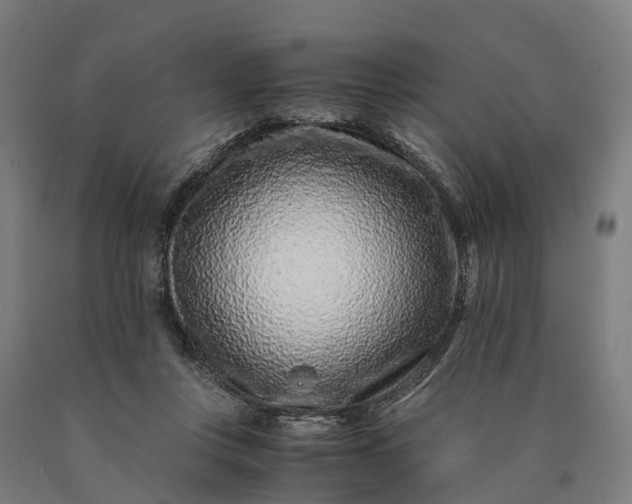 X0000090600359200707311206