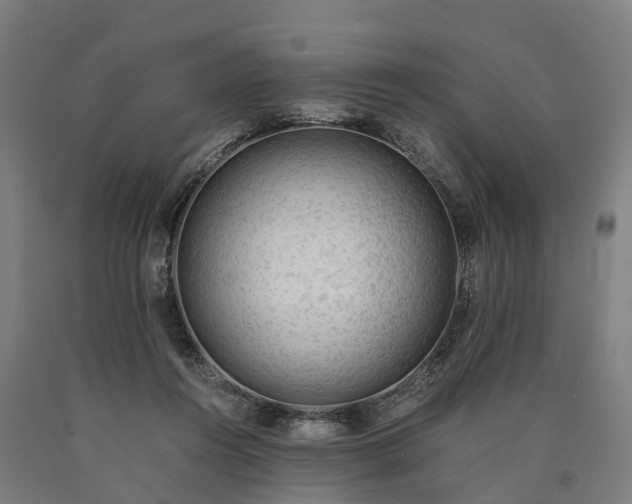 X0000090600360200707311206