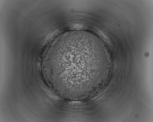 X0000090600361200707311206