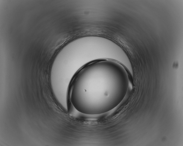 X0000090600362200707311206