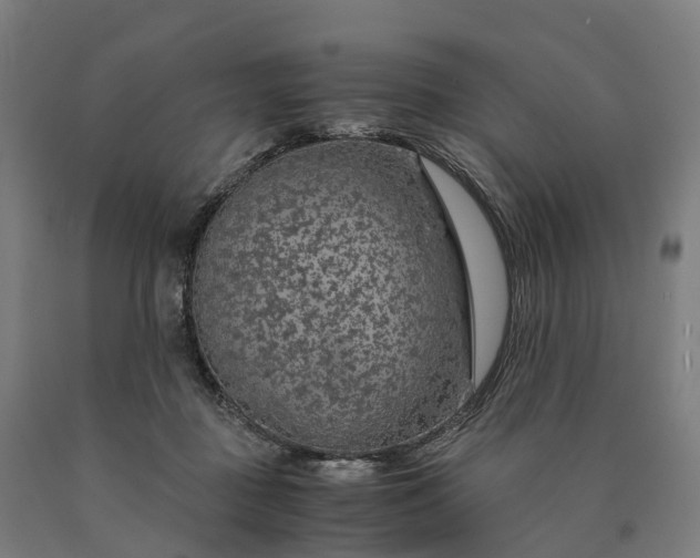 X0000090600363200707311206