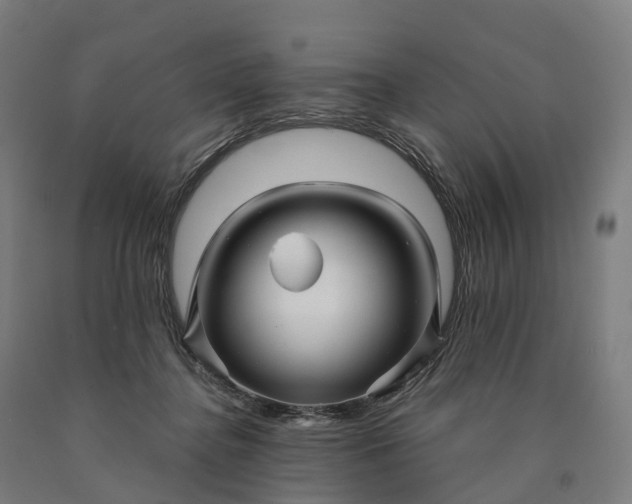 X0000090600364200707311206