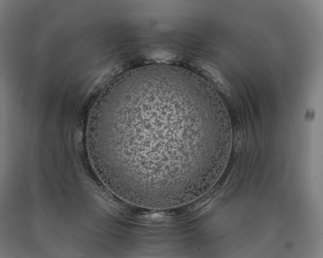 X0000090600365200707311206