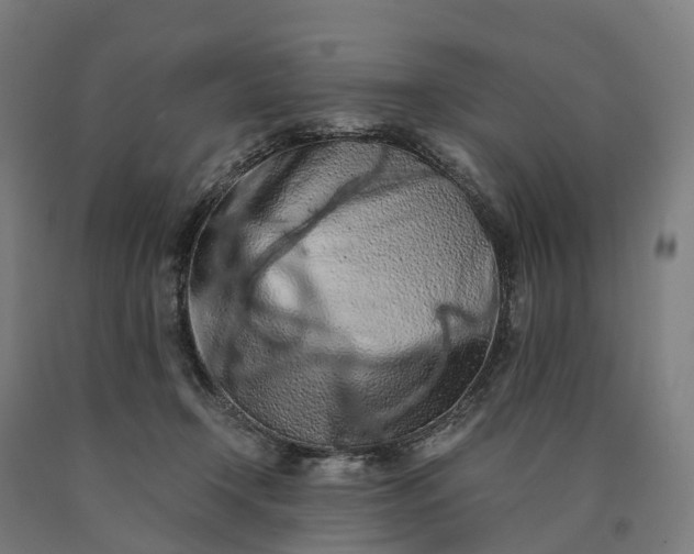 X0000090600366200707311206