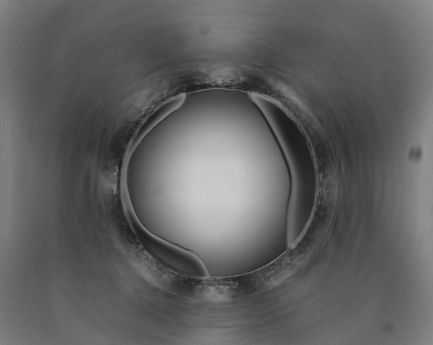 X0000090600368200707311206