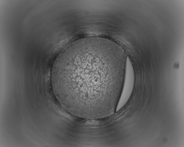 X0000090600369200707311206