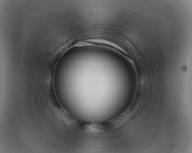 X0000090600372200707311206