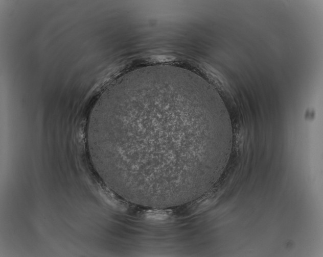 X0000090600373200707311206