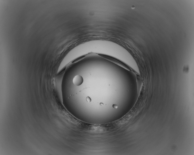 X0000090600376200707311206