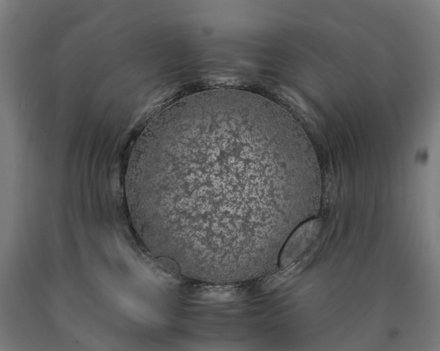 X0000090600377200707311206