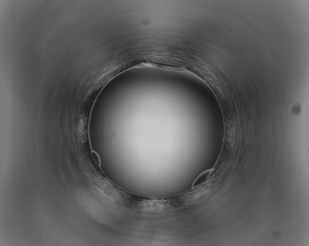 X0000090600378200707311206