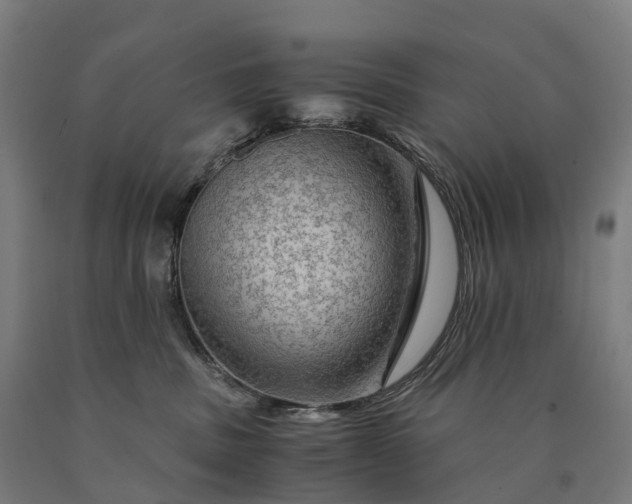 X0000090600379200707311206